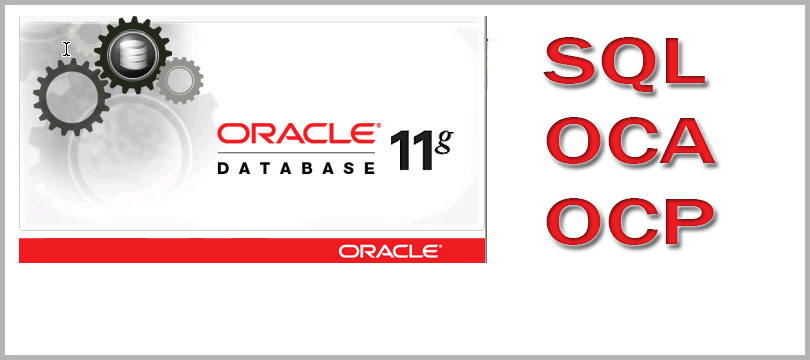 oracle dba Training