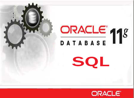 Oracle DBA Training