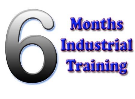 6 Months Industrial Training